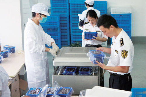 科技賦能農(nóng)業(yè) 山東省博興縣以現(xiàn)代技術(shù)與計(jì)算機(jī)系統(tǒng)服務(wù)推動農(nóng)業(yè)升級
