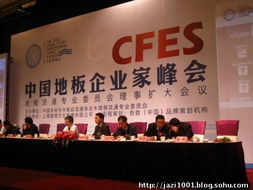 奇致品牌全程策劃，2011中國(guó)地板企業(yè)家峰會(huì)盛典圓滿(mǎn)落幕