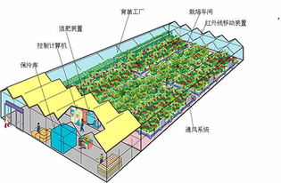 計算機控制的簡易植物工廠模型 無公害蔬菜生產(chǎn)新路徑