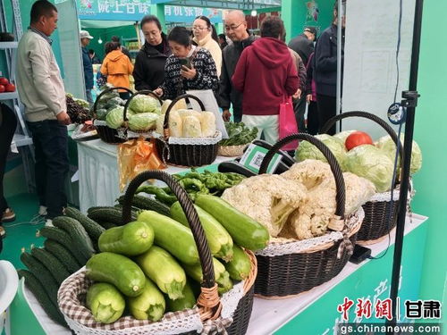 暮秋蘭州甘味濃，張掖有機農(nóng)產(chǎn)品展銷會圈粉金城苗木